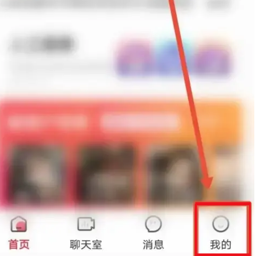 皮皮陪玩怎么导出个人信息 导出个人信息操作方法