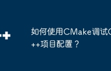 如何使用CMake调试C++项目配置？