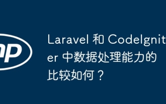 Wie vergleichen sich die Datenverarbeitungsfunktionen in Laravel und CodeIgniter?