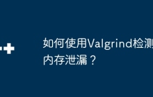 如何使用Valgrind检测内存泄漏？