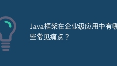 What are the common pain points of Java frameworks in enterprise applications?