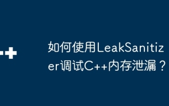 How to use LeakSanitizer to debug C++ memory leaks?