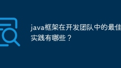 java框架在开发团队中的最佳实践有哪些?
