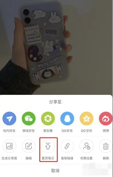 小红书怎么置顶自己的笔记 轻松设置置顶笔记的最新操作方法