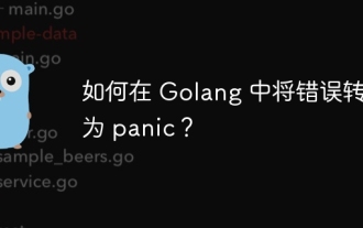 如何在 Golang 中将错误转换为 panic?