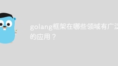 golang框架在哪些领域有广泛的应用?