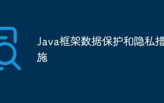 Java Framework-Datenschutz und Datenschutzmaßnahmen