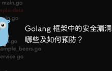 Golang 框架中的安全漏洞有哪些及如何预防？