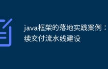 java框架的落地实践案例：持续交付流水线建设