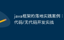 java框架的落地实践案例:低代码/无代码开发实战
