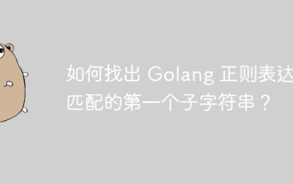 如何找出 Golang 正则表达式匹配的第一个子字符串?