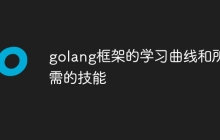 golang框架的学习曲线和所需的技能