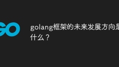 What is the future development direction of the golang framework?