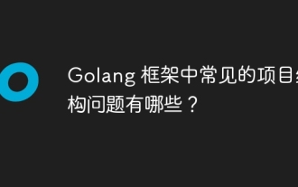 Was sind die häufigsten Projektstrukturprobleme im Golang-Framework?