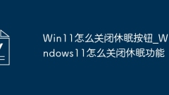 Windows 11 でスリープ ボタンをオフにする方法_Windows 11 でスリープ機能をオフにする方法
