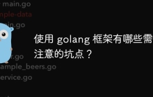使用 golang 框架有哪些需要注意的坑点？