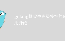 golang框架中高级特性的使用介绍