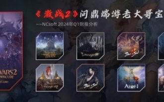 엔씨소프트 2024년 1분기 재무보고 분석: '길드워2'는 PC 게임의 빅 브라더를 지향한다