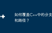 如何覆盖C++中的分支和路径？