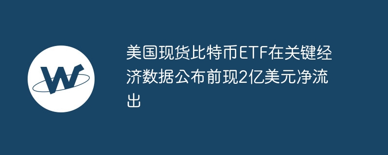 美国现货比特币ETF在关键经济数据公布前现2亿美元净流出