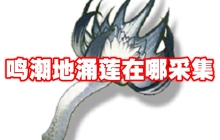 鸣潮地涌莲在哪采集 鸣潮地涌莲采集位置