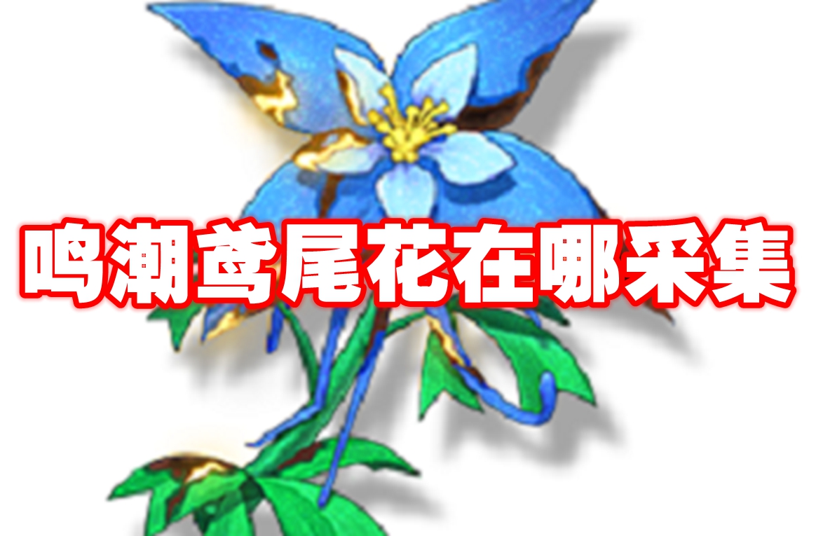 鸣潮鸢尾花在哪采集 鸣潮鸢尾花采集位置