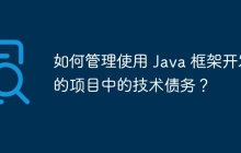 如何管理使用 Java 框架开发的项目中的技术债务?