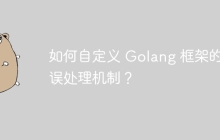 如何自定义 Golang 框架的错误处理机制?