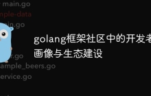 golang框架社区中的开发者画像与生态建设