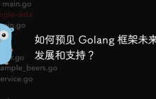 如何预见 Golang 框架未来的发展和支持?