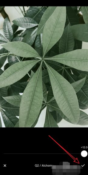 vsco滤镜怎么去水印 vsco滤镜去水印的方法