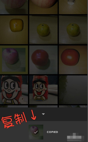 vsco怎么批量处理照片 vsco批量处理照片的方法