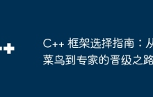 C++ 框架选择指南：从菜鸟到专家的晋级之路