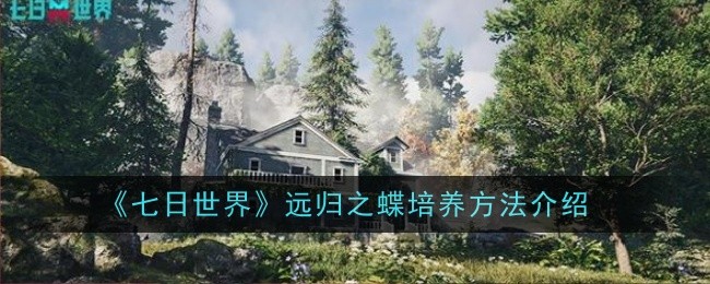 《七日世界》远归之蝶培养方法介绍