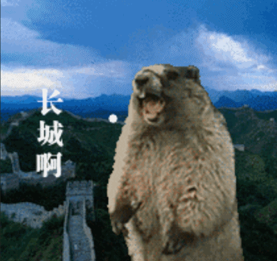 守护之心燃遍凛冬!《魔域》公益新玩法,让爱无界!