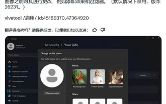 How to experience the avatar hiding feature of Win11 Canary 26231 preview version?