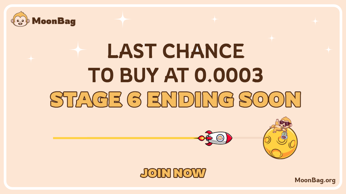 MoonBag: The Next Cryptocurrency Superstar of 2024-web3.0-php.cn image.