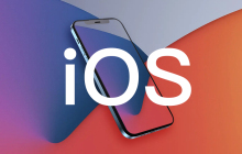 苹果 iOS / iPadOS 17.3 RC 发布：新增被盗设备保护和“团结之花”主题