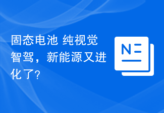 固态电池+纯视觉智驾,新能源又进化了?