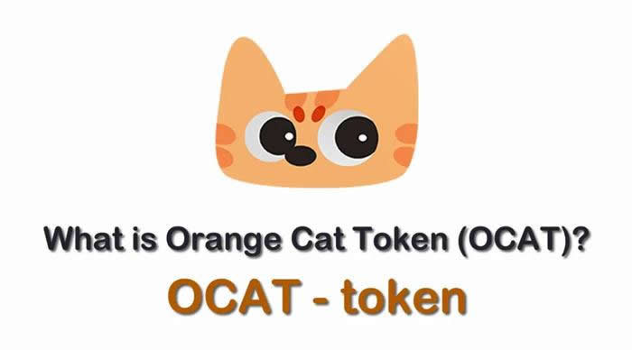 ocat是什么币种？ocat/橘猫币全面介绍