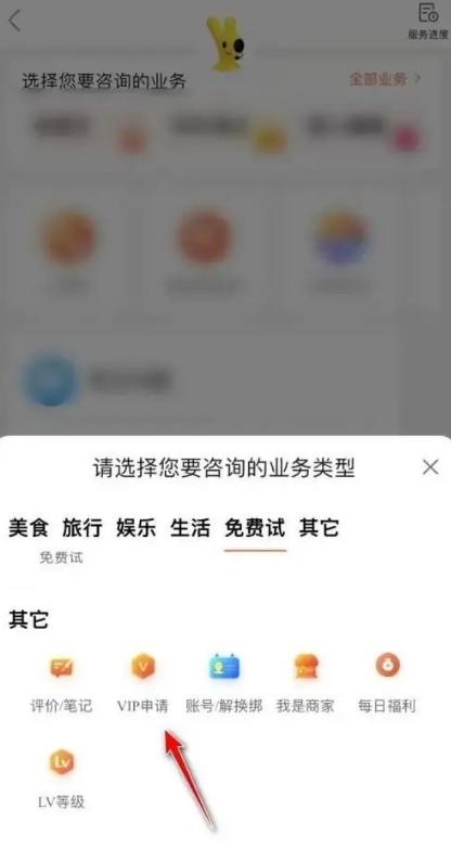 大众点评怎么成为VIP 大众点评VIP特权获取技巧即升级方式一览