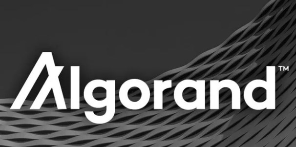 2024年07月04日ALGO币价格