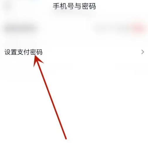 飞书怎么设置支付密码 飞书设置支付密码方法一览