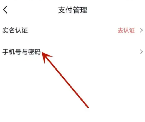 飞书怎么设置支付密码 飞书设置支付密码方法一览