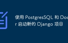 使用 PostgresSQL 和 Docker 启动新的 Django 项目