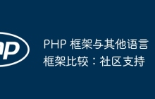 PHP 框架与其他语言框架比较：社区支持