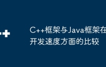 C++框架与Java框架在开发速度方面的比较