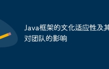 Java框架的文化适应性及其对团队的影响