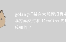 golang框架在大规模项目中与持续交付和 DevOps 的集成如何？