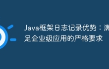 Java框架日志记录优势：满足企业级应用的严格要求